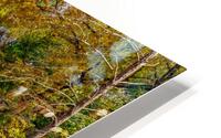 Casting Lines At Bennett Spring Bridge HD Metal print