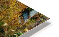 Huzzah Creek Meets The Fall Season HD Metal print