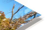 Bridge To Jolly Mill HD Metal print