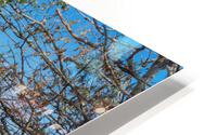 Lake Michigan Tranquilty HD Metal print