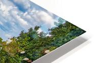 Lake Taneycomo Bench HD Metal print