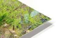 Dripping Springs Oklahoma Hike HD Metal print