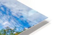 Alaska Pond Reflections HD Metal print
