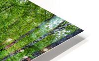 Green Paradise HD Metal print