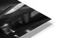 Calla Roll Grayscale HD Metal print