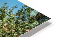 Just Beyond HD Metal print