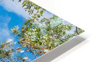 Midwest Paradise HD Metal print