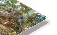 Indian Cliff Falls HD Metal print
