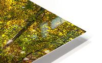 Reflections Beginning Painterly HD Metal print