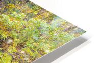Thunder Falls Autumn HD Metal print