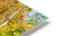 Fall Trees Creek Reflections HD Metal print