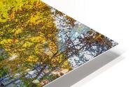 Ozarks Rustic Fall Creek Reflections HD Metal print