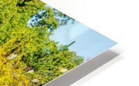 Botanical Half Moon Bridge HD Metal print
