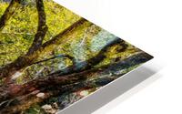 Fall At Buffalo River HD Metal print