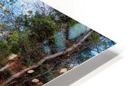 Roark Creek Fall Reflections HD Metal print