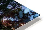 Lake Springfield Twilight Reflecctions HD Metal print