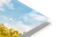 Fall Down Lake Springfield HD Metal print