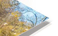 Ozarks Fall Rustic Covered Bridge HD Metal print