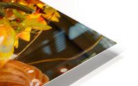 Autumn Grouping HD Metal print