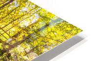 Reeds Spring Mill HD Metal print