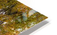 Autumn Tree With Barn HD Metal print