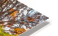 Autumn View Bench HD Metal print