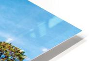 Navarre Beach Through Pine Trees HD Metal print