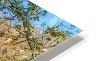 Lampe Missouri Fall Reflections HD Metal print