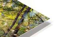 Buffalo River Bluff Reflections HD Metal print