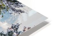 Lakeside Forest Wilderness Fall View HD Metal print