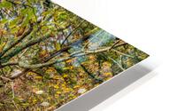 Hiking Path Through Henning HD Metal print