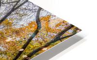 Steep Ozarks Fall Hike HD Metal print