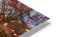 Mammoth Spring Bench Fall Day HD Metal print