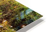 Bennett Spring State Park Rapids HD Metal print