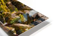 Bennett Spring Rapids HD Metal print