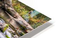 Bennett Spring Flowing Rapids HD Metal print