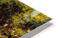Bennett Spring Rapids Pano HD Metal print