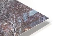 Finley River Snowfall HD Metal print
