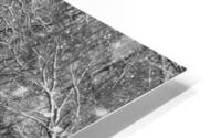 Finley River Snowfall Grayscale HD Metal print