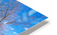Frozen Lake Springfield HD Metal print