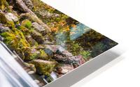 Flowing Bennett Spring Rapids HD Metal print