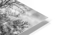 Bench View Beaver Bridge Grayscale HD Metal print