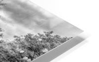 Beaver Bridge Bench View Grayscale HD Metal print