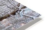 Snowy Forest HD Metal print