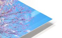 Soft Pink Weeping Cherry Tree Painterly HD Metal print