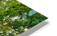 Beaver Bridge Middle HD Metal print