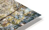 Rustic Forest Creek Winter HD Metal print