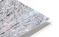 Snow Covered Woods HD Metal print