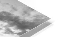 Oak Tree Farm Sunset Grayscale HD Metal print