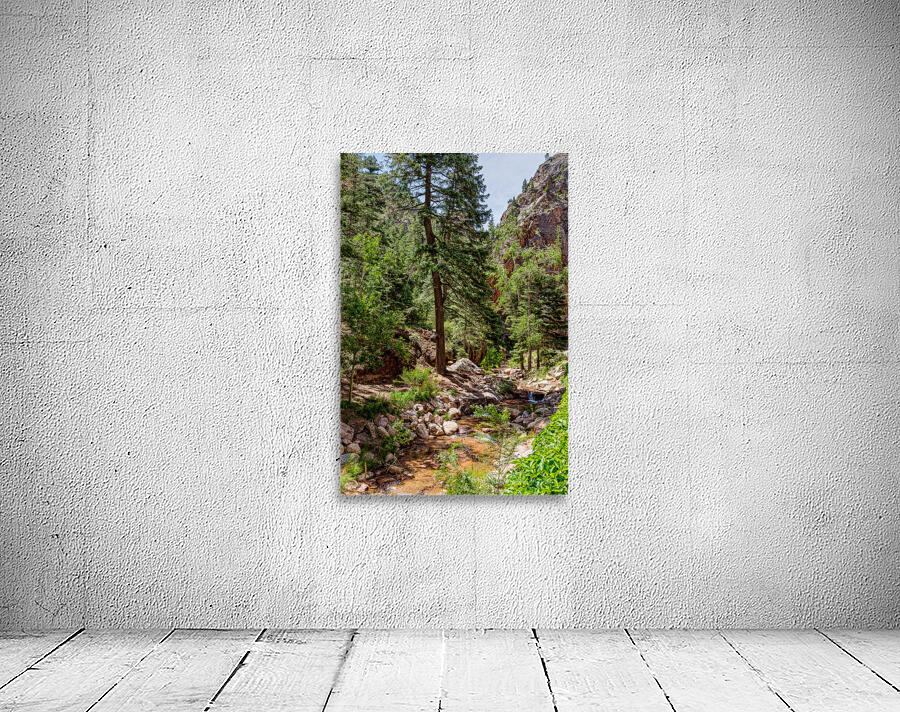 Colorado Forest Creek And Mountains Wall Preview